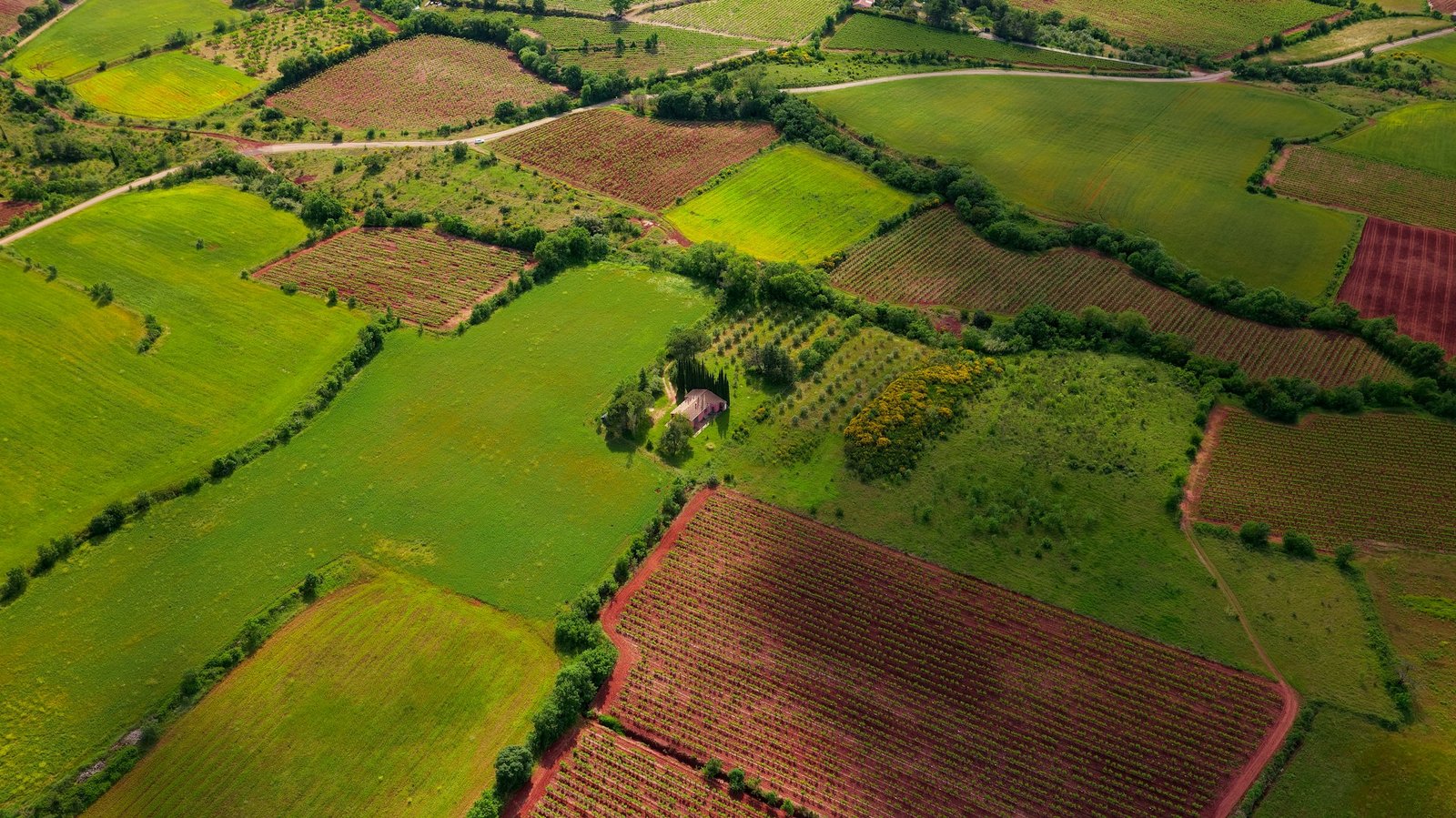 Land
